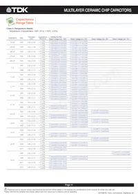 C3225NP01H333J160AA Datasheet Page 12