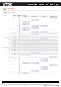 C3225NP01H333J160AA數據表 頁面 13