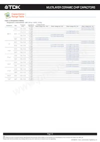 C3225NP01H333J160AA Datasheet Page 14