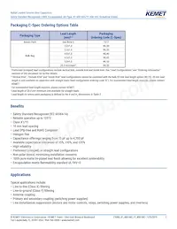 C921U152MVWDBA7317 Datasheet Pagina 2