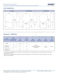 C921U152MVWDBA7317 Datasheet Page 3