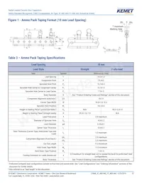 C921U152MVWDBA7317 Datasheet Pagina 13