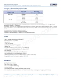 C921U222MUVDBA7317 Datasheet Page 2