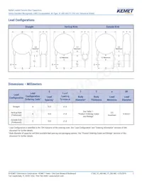 C921U222MUVDBA7317 Datasheet Pagina 3