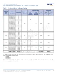 C921U222MUVDBA7317 Datasheet Pagina 5