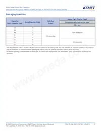 C921U222MUVDBA7317 Datasheet Pagina 12