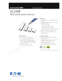 CL1208-3-100TR-R數據表 封面