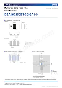 DEA162450BT-2096A1-H Datasheet Page 2