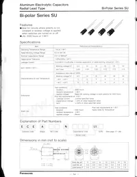 ECE-A1CN101UB Datasheet Cover
