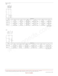 FBA04HA900VS-00 Datasheet Page 6