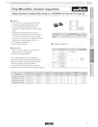 GA355DR7GC221KY02L Datasheet Pagina 10