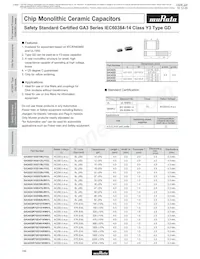 GA355DR7GC221KY02L Datasheet Page 13