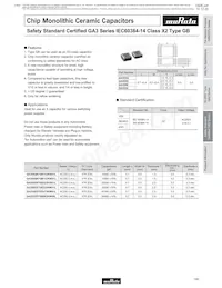 GA355DR7GC221KY02L Datasheet Page 14