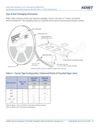 M3253505E2X225KZMB Datasheet Page 13