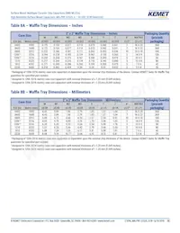 M3253505E2X225KZMB Datenblatt Seite 20