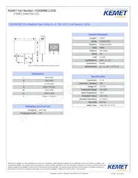 PZB300MC11R30 Datasheet Cover