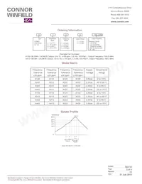 X213-200.0M Datasheet Pagina 3