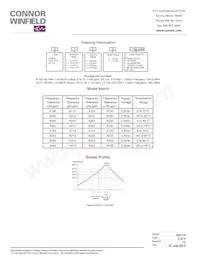 X213-200.0M數據表 頁面 3