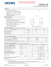 DCP51-16-13 Datasheet Copertura