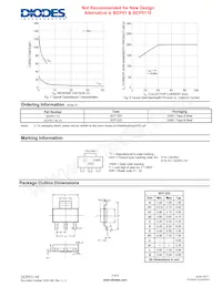 DCP51-16-13 Datasheet Pagina 3