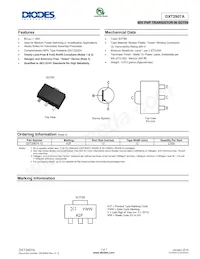 DXT2907A-13 Cover