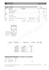 CS22-12IO1M Datasheet Page 3