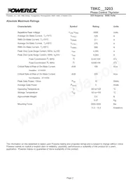 T8KC603203DH Datenblatt Seite 2