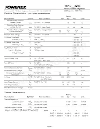 T8KC603203DH Datasheet Page 3