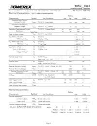 T9KC600603DH Datasheet Page 3