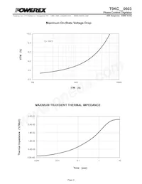 T9KC600603DH Datasheet Page 4