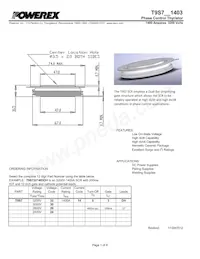 T9S7321403DH Datasheet Cover