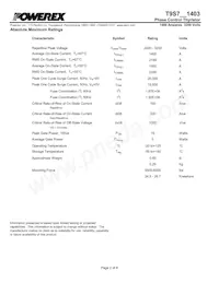 T9S7321403DH Datasheet Page 2