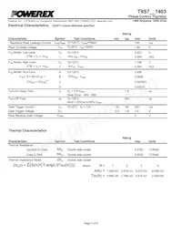 T9S7321403DH Datasheet Page 3