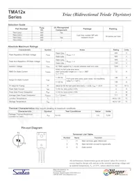 TMA124S-L Datasheet Page 2