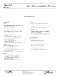 TMA166B-L Datasheet Page 12