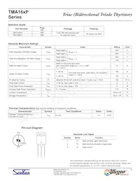 TMA166P-L Datasheet Page 2