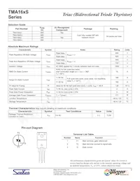 TMA166S-L Datasheet Page 2