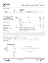 TMB166S-L Datasheet Page 2
