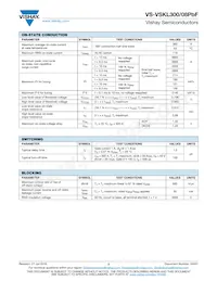 VS-VSKL300-08PBF Datenblatt Seite 2