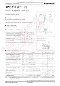 XP0111F00L Datenblatt Cover