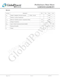 GHIS020A060B1P2 Datasheet Page 7
