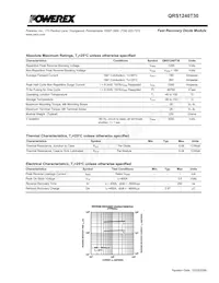 QRS1240T30 Datasheet Page 2