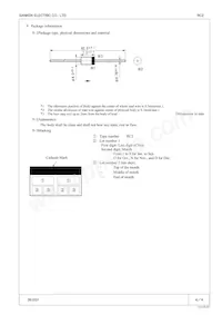 RC 2V1 Datasheet Pagina 4