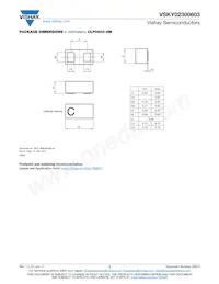 VSKY02300603-G4-08 Datasheet Page 3