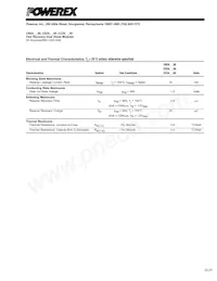 CN241250 Datasheet Page 3