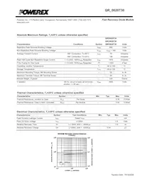 QRF0620T30 Datasheet Page 2
