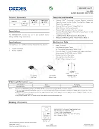 SBR30E100CT Cover