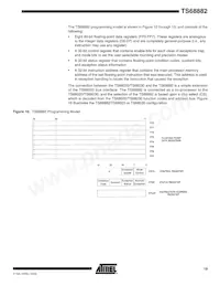 TS68882VR25 Datasheet Page 19