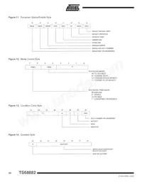 TS68882VR25 Datasheet Page 20