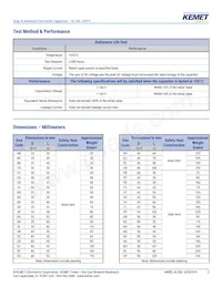 ALC80E822KP200 Datasheet Page 3
